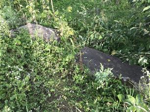 Old Jewish cemetery, 2019 Old Jewish cemetery, 2019