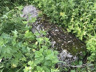 Tombstone on the destroyed Jewish cemetery, 2019 Tombstone on the destroyed Jewish cemetery, 2019
