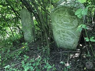 Jewish cemetery in Okopy, 2019 Jewish cemetery in Okopy, 2019