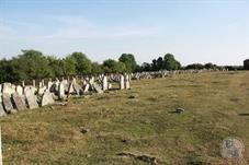 The old cemetery here is just huge The old cemetery here is just huge