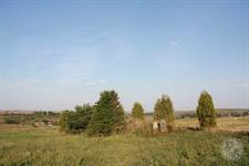 Outside the city - 2 mass graves Outside the city - 2 mass graves