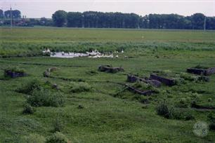 Jewish cemetery. 1997