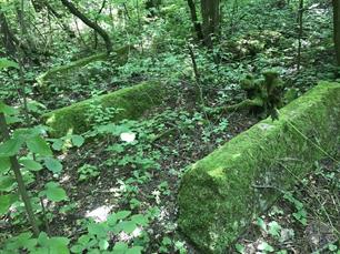 Jewish cemetery, 2019