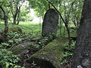 New Jewisn cemetery, 2019 New Jewisn cemetery, 2019