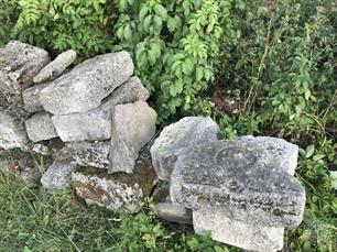 Jewish cemetery in Zavaliv, 2019 Jewish cemetery in Zavaliv, 2019