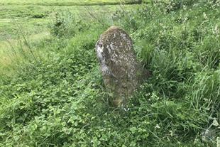 Old Jewisn cemetery, 2019 Old Jewisn cemetery, 2019