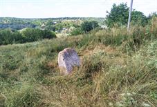Старое кладбище в Городковке Старое кладбище в Городковке