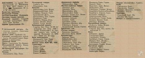 Мястковка в справочнике "Весь Юго-Западный край", 1913 Мястковка в справочнике "Весь Юго-Западный край", 1913