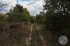 The road to the Jewish cemetery The road to the Jewish cemetery
