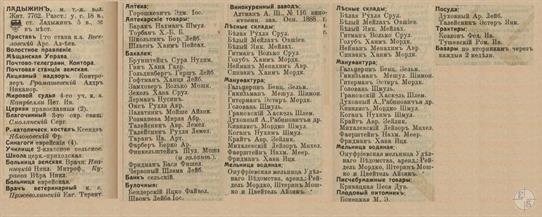 Ладыжин в справочнике "Весь Юго-Западный край", 1913 Ладыжин в справочнике "Весь Юго-Западный край", 1913