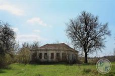 Еще один супермаркет в кустах Еще один супермаркет в кустах