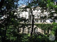 Through the trees can be seen well-preserved fortress escarpment