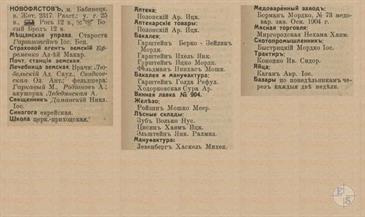 Новофастов в справочнике "Весь Юго-Западный край", 1913