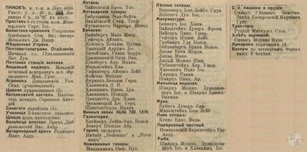 Пиков в справочнике "Весь Юго-Западный край", 1913 Пиков в справочнике "Весь Юго-Западный край", 1913