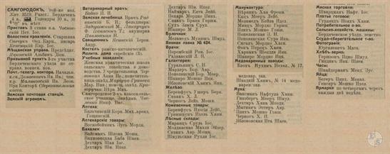 Самгородок в справочнике "Весь Юго-Западный край", 1913