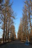 road to Stanislavchik