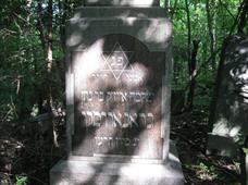 А сам Айзик умер через месяц в этом же году А сам Айзик умер через месяц в этом же году