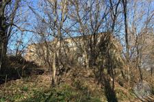 he synagogue ruins are found in the thickets he synagogue ruins are found in the thickets