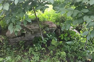 Jewish cemetery in Boremel, 2019 Jewish cemetery in Boremel, 2019