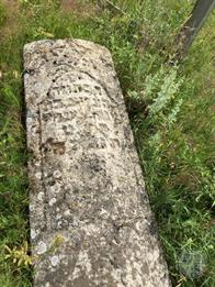 Jewish cemetery in Chartoryysk, 2019 Jewish cemetery in Chartoryysk, 2019