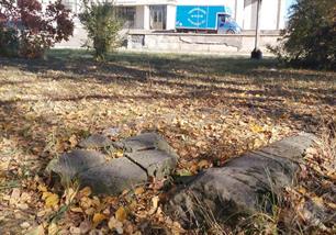New Jewish cemetery, 2019 New Jewish cemetery, 2019