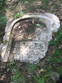 Jewish cemetery, 2019 Jewish cemetery, 2019