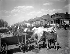 Market day in Olyka, 1925 Market day in Olyka, 1925