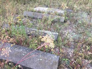 Jewish cemetery in Osova, 2019 Jewish cemetery in Osova, 2019