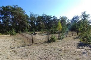 Jewish cemetery in Sernyky, 2019 Jewish cemetery in Sernyky, 2019
