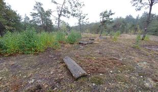 Jewish cemetery in Tomashhorod, 2019 Jewish cemetery in Tomashhorod, 2019