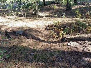 Jewish cemetery in Zarichne, 2019 Jewish cemetery in Zarichne, 2019