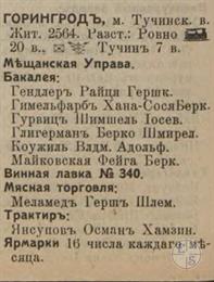 Horyngrad in the 1913 reference book Horyngrad in the 1913 reference book