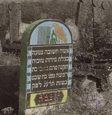 Tobi, daughter of Moshe, died in 1913. Painted grave done by E. Fiedorowicz using computer tools Tobi, daughter of Moshe, died in 1913. Painted grave done by E. Fiedorowicz using computer tools
