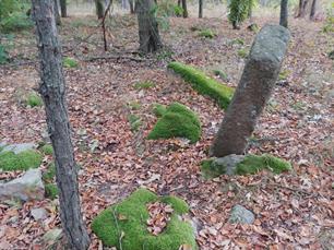 Jewish cemetery in Osnytsk, 2019 Jewish cemetery in Osnytsk, 2019
