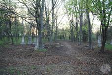 Old Jewish cemetery, 2012 Old Jewish cemetery, 2012