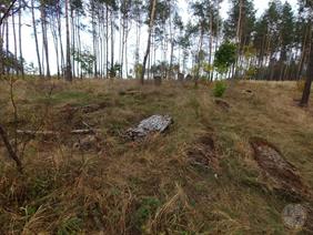 Jewish cemetery in Old Rafalivka, 2019 Jewish cemetery in Old Rafalivka, 2019