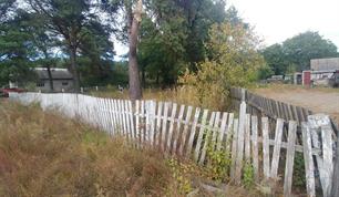 Jewish cemetery in New Rafalivka, 2019 Jewish cemetery in New Rafalivka, 2019