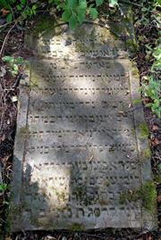 Jewish cemetery in Varkovychi, 2019 Jewish cemetery in Varkovychi, 2019