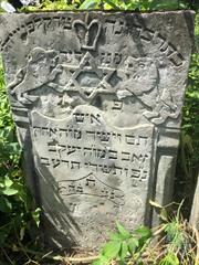 Jewish cemetery in Zdolbuniv, 2019 Jewish cemetery in Zdolbuniv, 2019