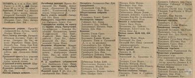 Тетиев в справочнике "Весь Юго-Западный край", 1913