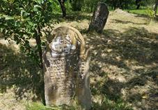 Боржава, еврейское кладбище Боржава, еврейское кладбище