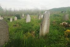 Дюла, еврейское кладбище Дюла, еврейское кладбище