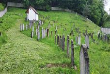 Иршава, еврейское кладбище Иршава, еврейское кладбище