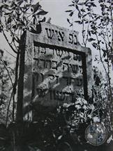 Фотографии Д.Гобермана, 1950-60 гг. Фотографии Д.Гобермана, 1950-60 гг.