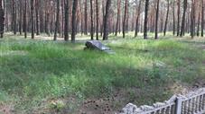 Основное место расстрела в лесу за городом Основное место расстрела в лесу за городом