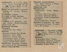 Выборка из справочника "Весь Юго-Западный край" 1913 года по Норинску и Липникам Выборка из справочника "Весь Юго-Западный край" 1913 года по Норинску и Липникам